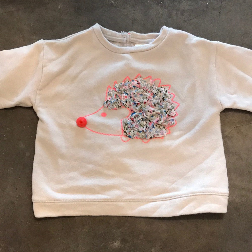 Zara hedgehog sweatshirt